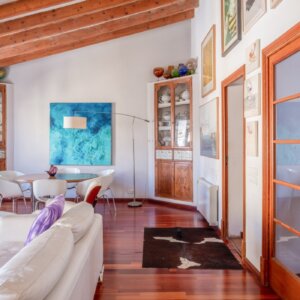 CHARACTER FILLED PENTHOUSE WITH TERRACE IN THE OLD TOWN, FOR SALE