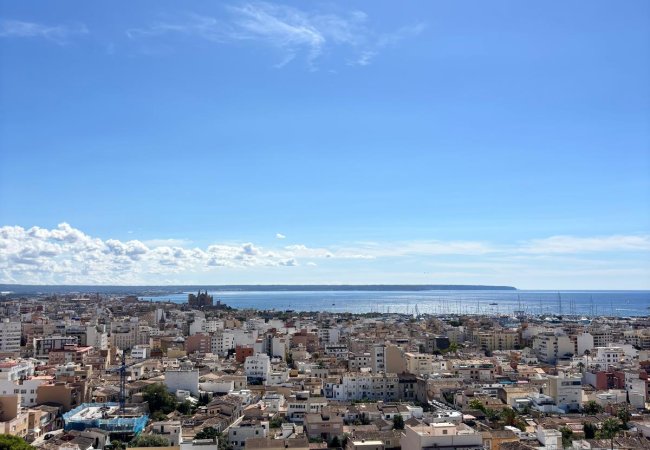 WhatsApp Image 2025-10-21 at 18.51.20