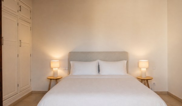duplex-penthouse-full-of-character-with-two-terraces-in-santa-catalina-palma.4_l