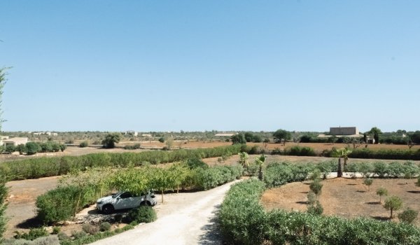 mediterranean-natural-stone-finca-with-a-large-swimming-pool-for-sale-in-es-llombards-santanyi.20_l