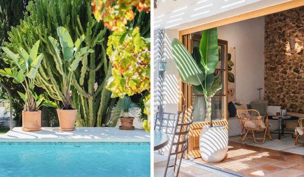 mediterrean-home-with-poo-garden-and-sea-view-in-genova-for-sale-palma.43_l